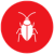 Cucaracha
