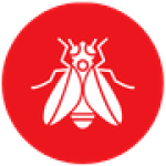Mosca